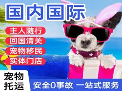 正定航空货运国际宠物托运 【国